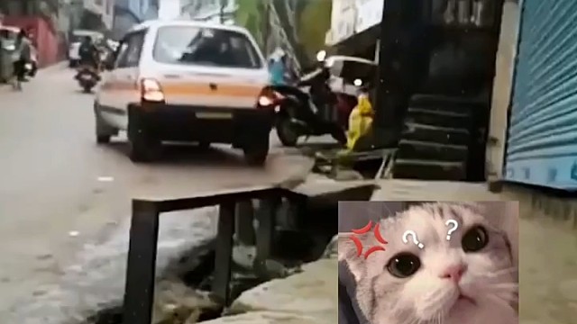 这这位绝对没人占