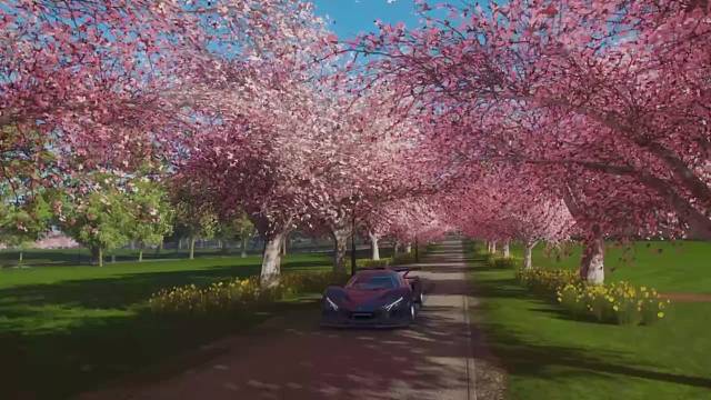 “我多想带你来看看可惜你已不在”