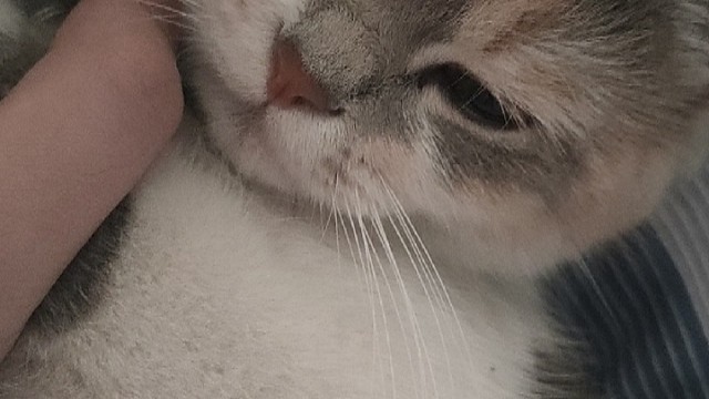 总结以下六点
......