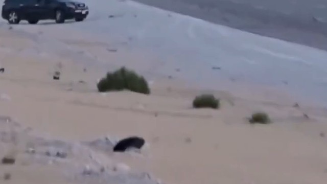 车速200如何自救