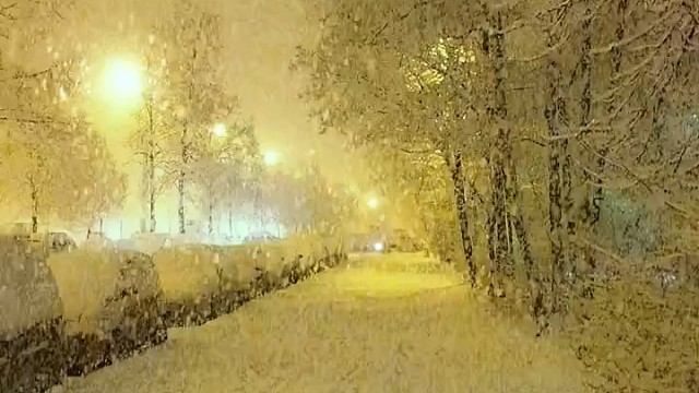 哈尔滨的雪好美