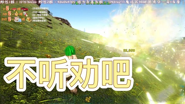 【咩咩】让你不听劝