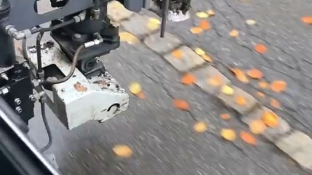 外国如何清理堵塞的落叶