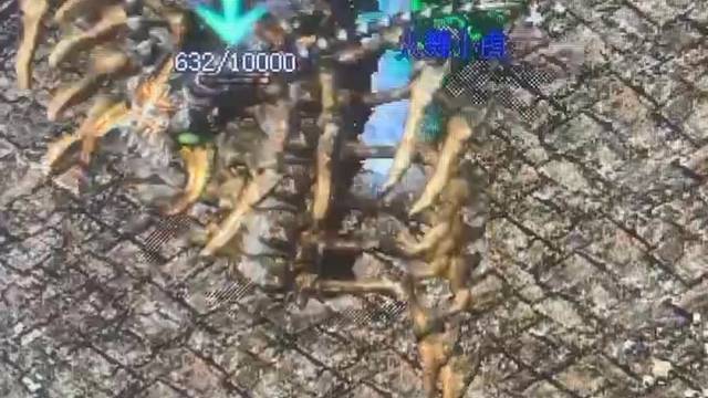 战士……结果很意外