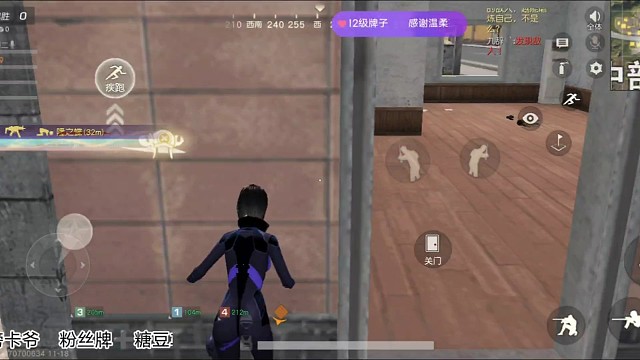 来和丸子一起玩耍吧~