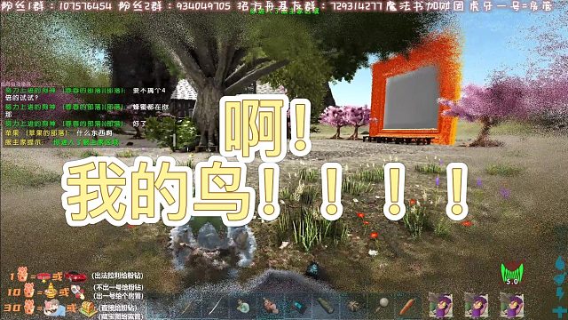 【咩咩】啊！我的鸟。