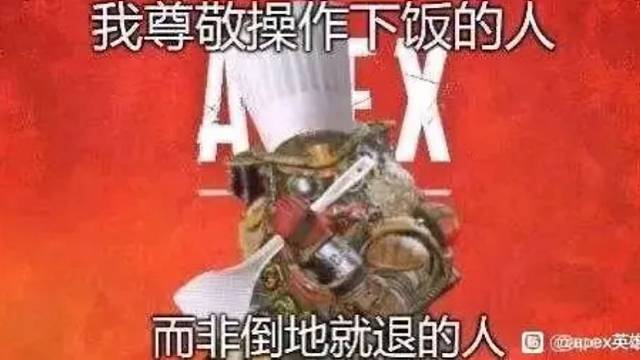 高D的菜狗派派日常