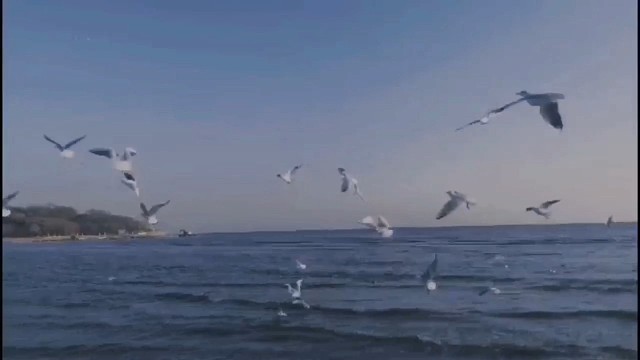 “预祝你我有数不尽的鲜花和浪漫”