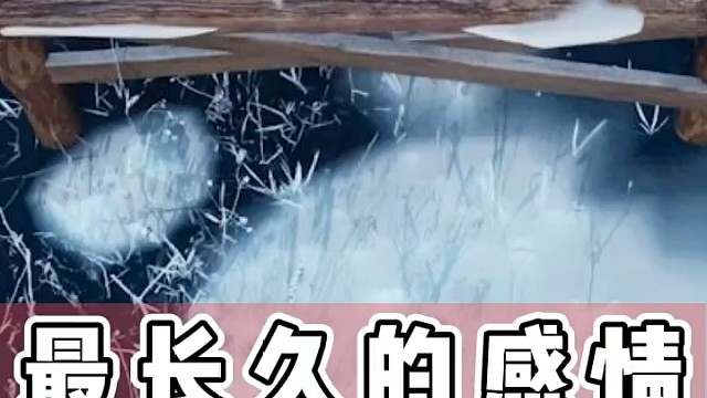 最长久的感情都在细节里