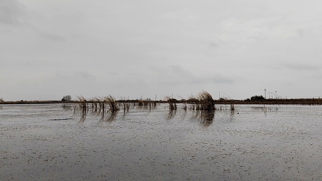 每一道食材都是大自然的恩赐