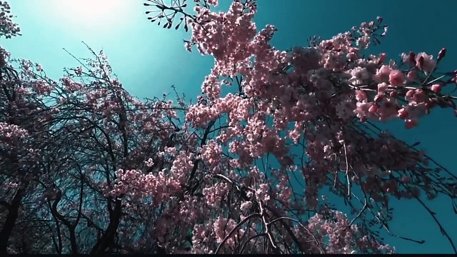 我不知道在等什么可我就是想等等。