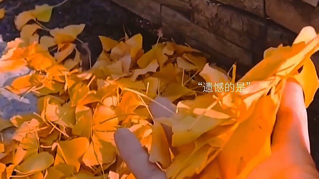 未来的日子，我们都没有彼此了