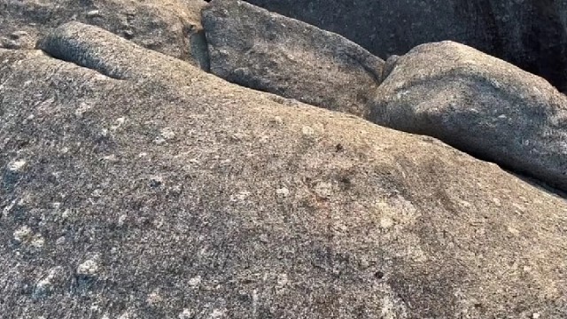 做人一半装傻，一半装哑