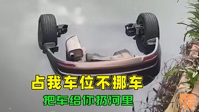 车位被占车主拒不挪车，用叉车把车丢河里去，这做法你支持吗？