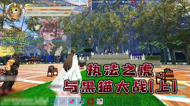 执法之虎与黑猫大战（上）