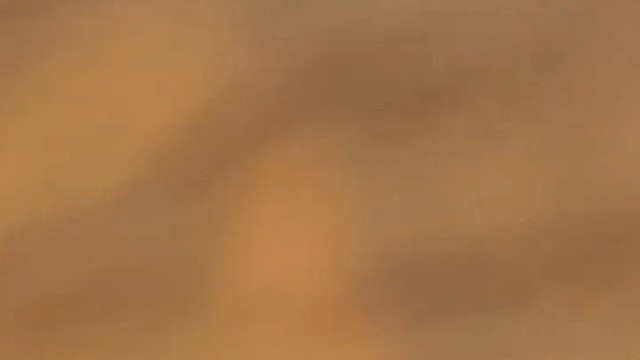 能不能跟她在一起已经不重要了