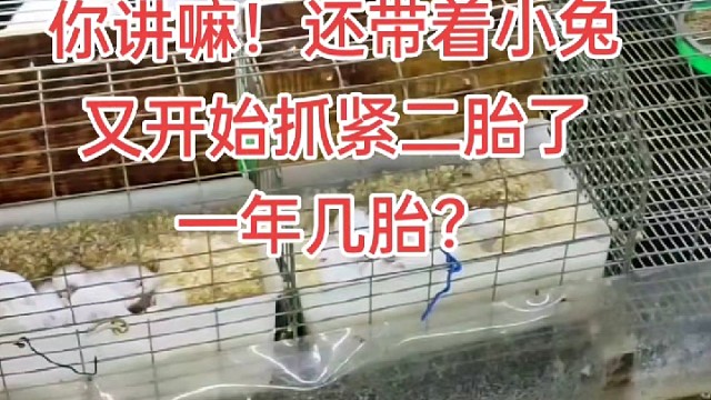 我发布了一个新视频，快来围观吧！