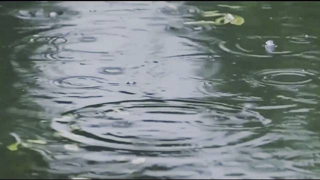 我走在长街中，听戏子唱京城