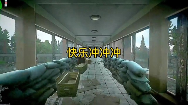 逃离塔科夫:快乐冲冲冲