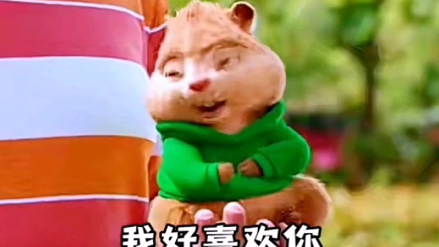 喜欢我绝对是你做的最正确的决定～