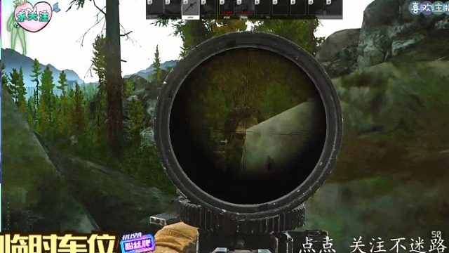 玫瑰-塔科夫小菜菜-塔科夫小菜菜