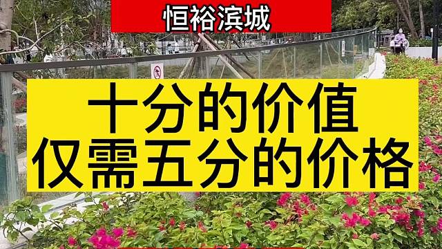 南山惊掉你下巴的价格恒裕滨