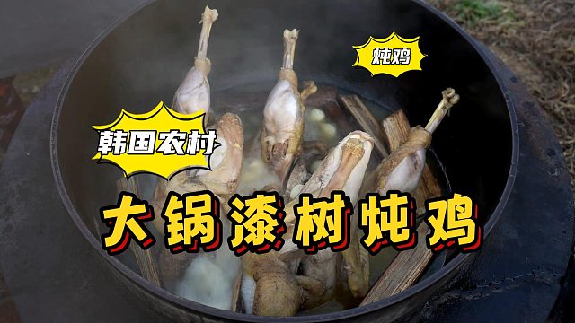 成功解锁新的炖鸡方法—漆树炖鸡，健康有营养，开锅瞬间香气扑鼻！
