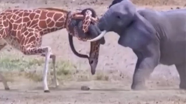 这一辈子的结就这样结下了