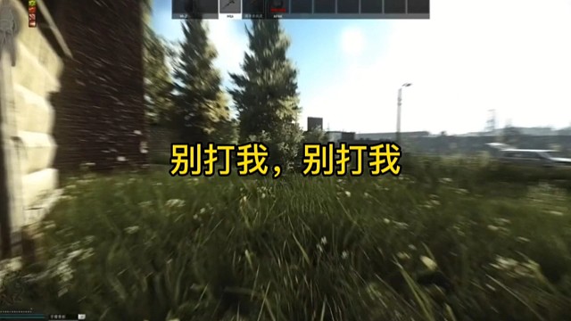 逃离塔科夫:别打我，别打我！