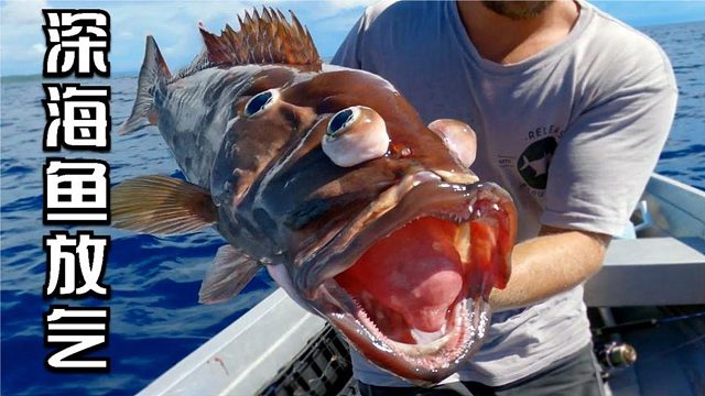 深海鱼钓上来必须“放气”，否则就会爆炸，这是为什么？