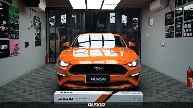 野马-进口艾锐车衣