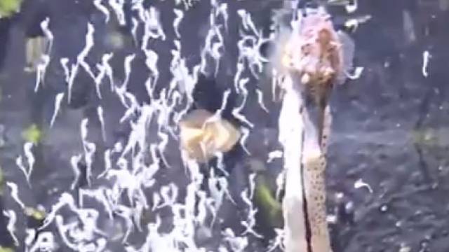 原来是这样生孩子的，一下居然生这么多