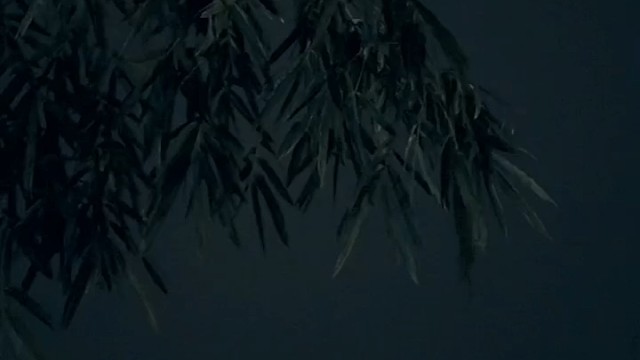 又一轮降温了，记得照顾好自己，生活不简单，尽量简单过……