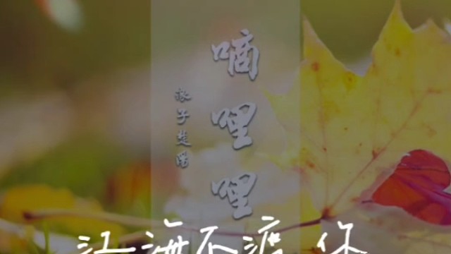 沙雕主播的日常