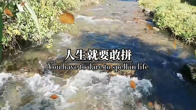 生命不止奋斗不息