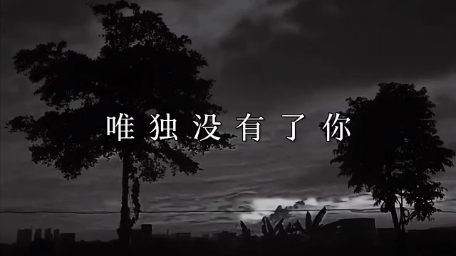 你的照片我没有删，只是加密了，你的东西我也没有丢，只是收好，藏起来了，你，我也没有忘，只是藏在心里