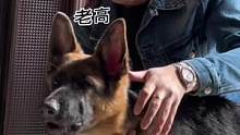 老高終究還是對(duì)妞妞下手了、找不痛快的方式有很多、偏偏選擇這種、下集我要讓老高哭#古力娜爾愛機(jī)車 #機(jī)