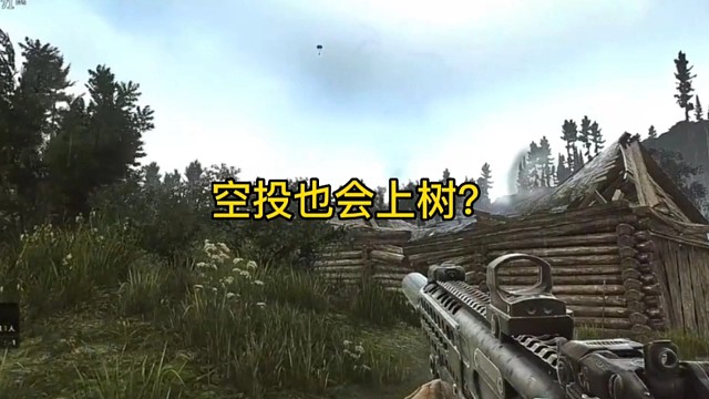 逃离塔科夫:空投也会上树？