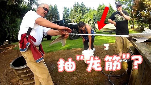 “抽龙筋”！价值连城，曾专供皇帝享用！