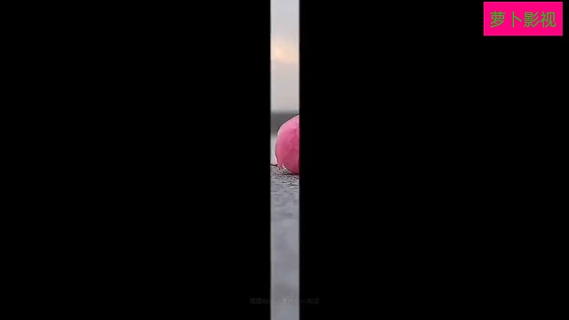 “人生没有无用的经历，一切都是最好的安排”