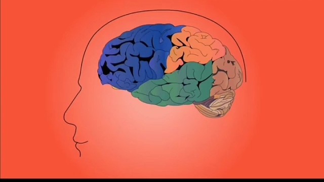 顺月之盈亏而养生