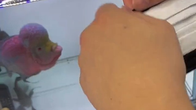 头巾一戴，首富