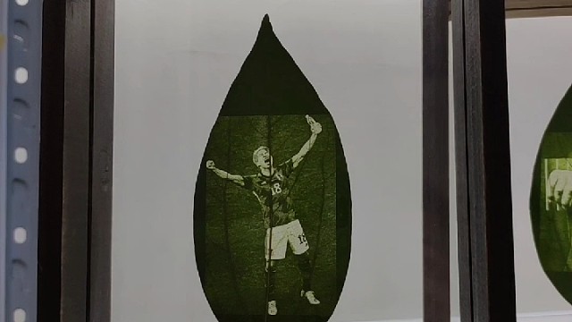 #卡塔尔世界杯##树叶画##李铁#