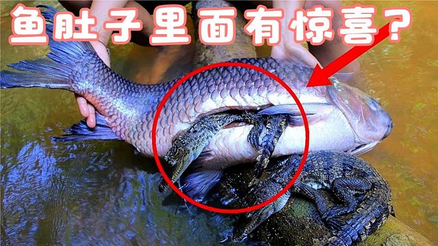 老外捕到大鱼，剖开一看竟有意外收获，真是赚大了！