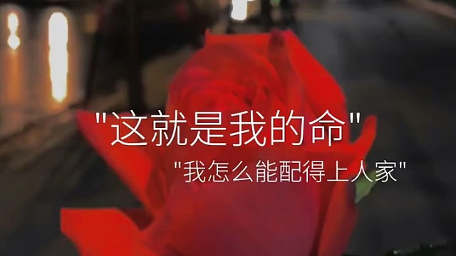 收集一条你迄今为止最最喜欢的一句话