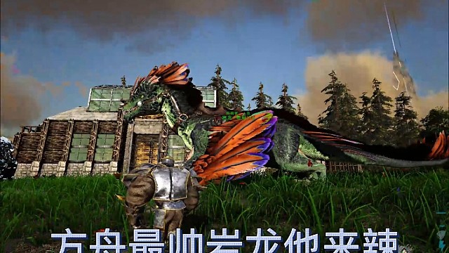 岩龙最帅不接受反驳