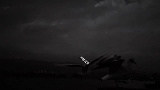 一句特别实在的话