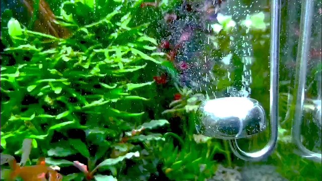 前置摄像头坏了