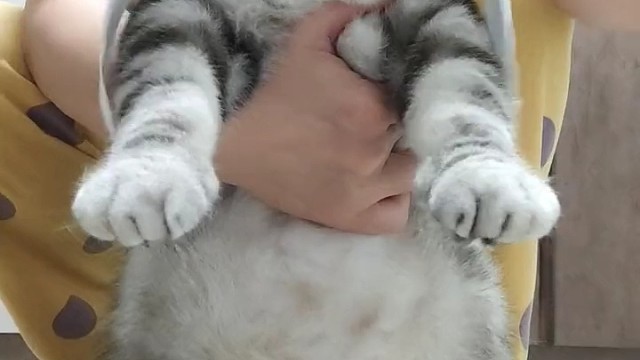 头巾一披贼拉风