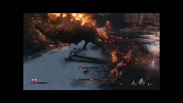 斗牛还是很帅的